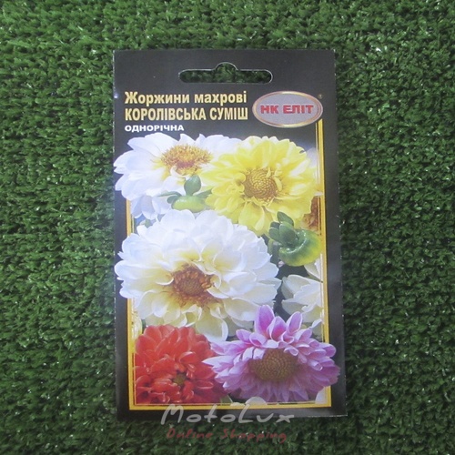 Seeds Flowers Dahlias mix Royal terry 0.5 g