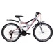 Bicykel Discovery 26 Canyon AM2 DD, rám 17.5, 2021, silver black with red