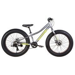 Dospievaj&uacute;ci bicykel Formula Paladin DD, 24 kolies, 12 r&aacute;m, sivozelen&aacute; s čiernou, М, 2021